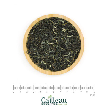 EL VERT YUNNAN