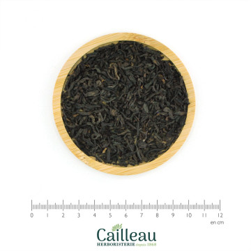 EL PU-ERH DE YUNNAN