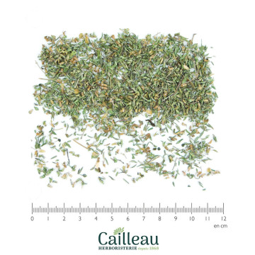 THYM SUD FRANCE feuille