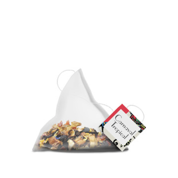 Infusettes Vrac CARNAVAL...