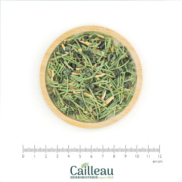 DESINTOXICACIÓN BIO - CAILLEAU