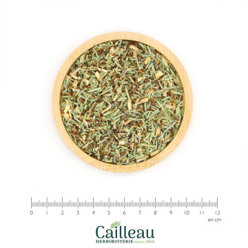 DETOX SANS THEINE BIO -...