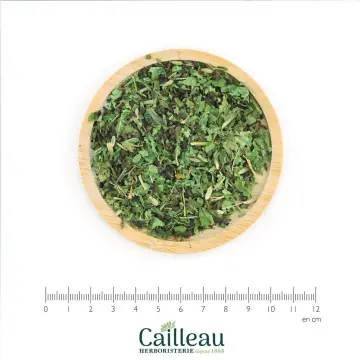ALLAITEMENT BIO - CAILLEAU