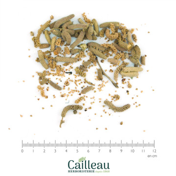 WALNUT BIO gato entero FRANCIA