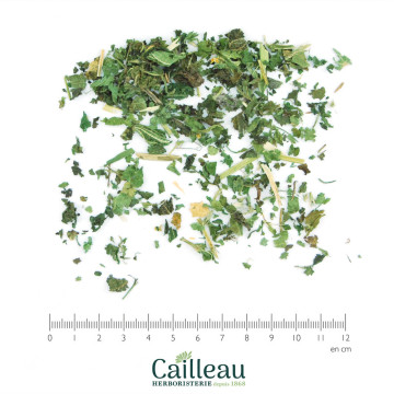 NETTLE (STINGING) aerial...