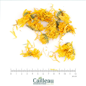 SOUCI BIO fleur