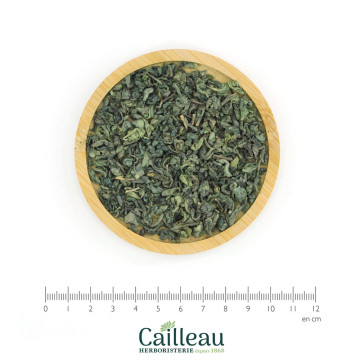 LA HOJA VERDE DE GUNPOWDER BIO