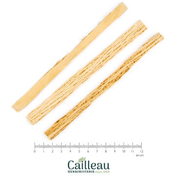 LITTLELEAF LINDEN sapwood,...
