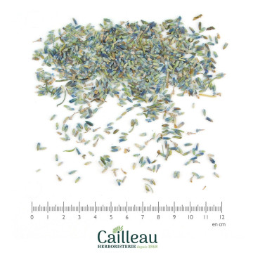 LAVENDER blossom, ORGANIC,...