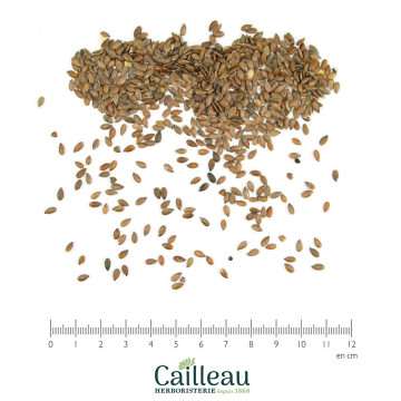 FLAX seed, ORGANIC