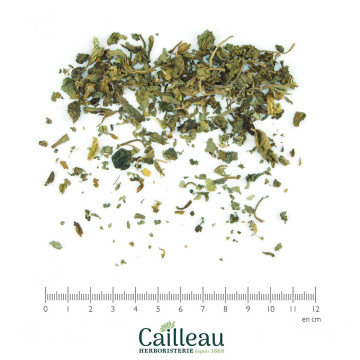 MAUVE BIO feuille coupé