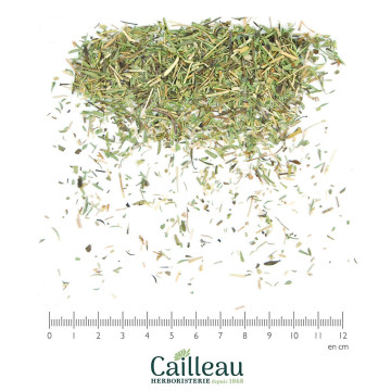 SAVORY leaf, ORGANIC cut