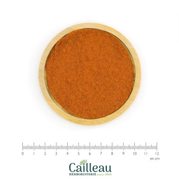 CAMPECHE bois poudre