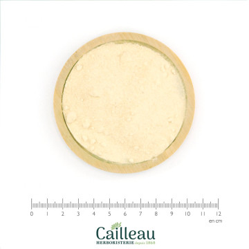 CITRON écorce de fruit poudre