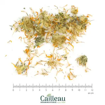 ARNICA MONTANA BIO capitule...