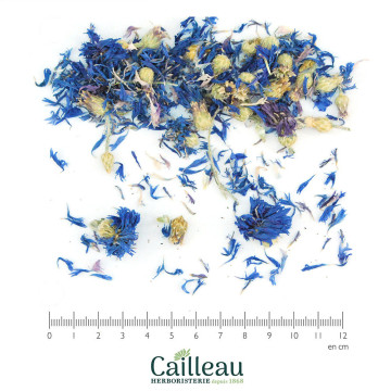 CORNFLOWER blossom, ORGANIC