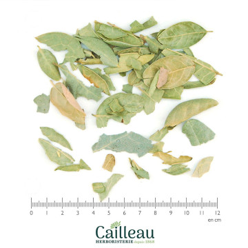 BOLDO BIO feuille entière