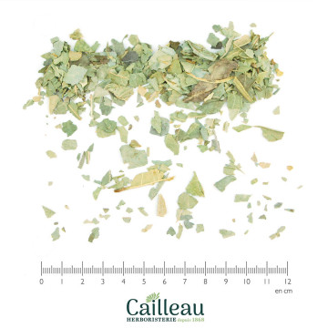 BOLDO BIO feuille coupé