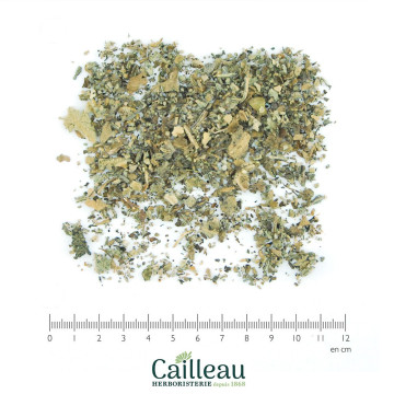 BOUILLON BLANC BIO sommité...