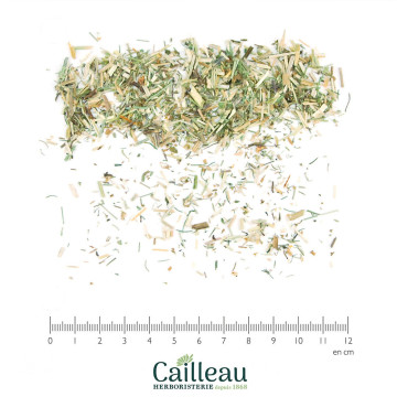 BEDSTRAW (LADY'S) aerial...