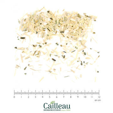 ELEUTHEROCOQUE BIO racine...