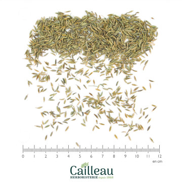CUMIN BIO