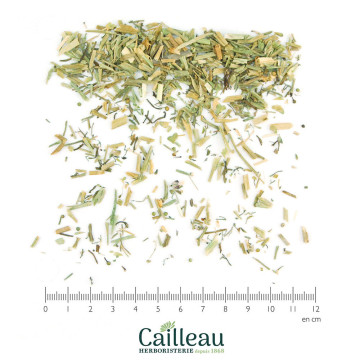 FUMITORY aerial part,...