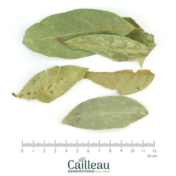 LAURIER SAUCE BIO feuille...