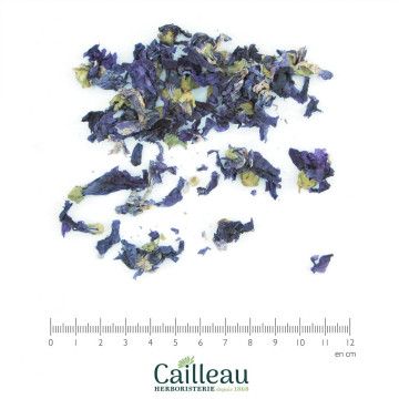 MAUVE BIO fleur