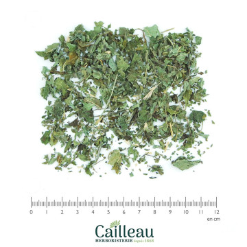 MELISSE BIO feuille entière