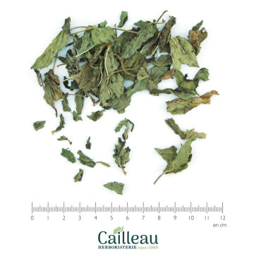 MENTHE NANAH BIO feuille...