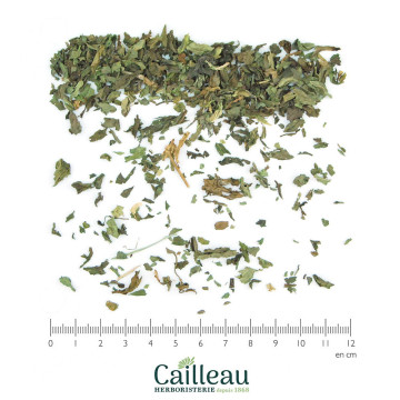 MENTHE NANAH BIO feuille coupé