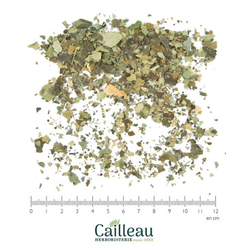 MORINGA BIO feuille coupé