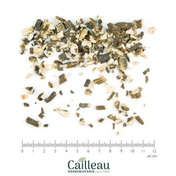 DANDELION root, ORGANIC cut