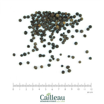POIVRE NOIR BIO grain