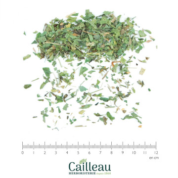 SWEET WOODRUFF aerial part cut