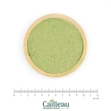 EUCALYPTUS leaf powder