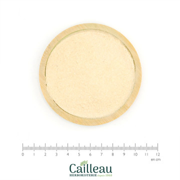 BEAN (GREEN) pod powder