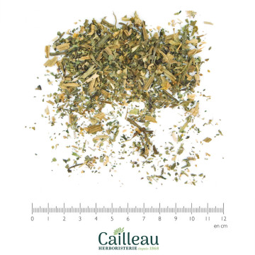 DEAD NETTLE (WHITE)...