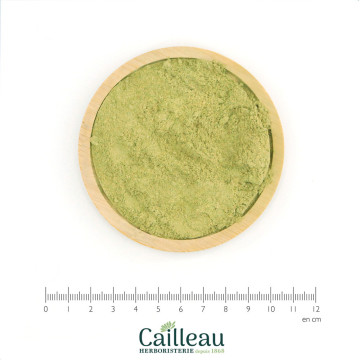 SOAPWORT aerial part powder