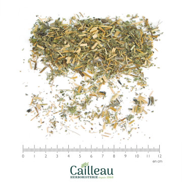 AIGREMOINE sommité coupé