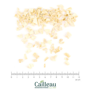PARSLEY root cut