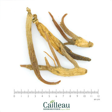 GINSENG ROJO raíz entera