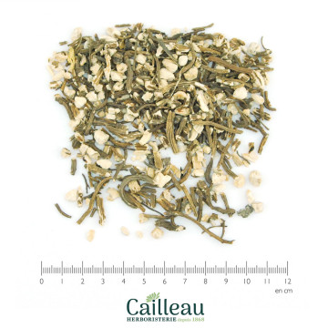 ANGELIQUE BIO racine coupé