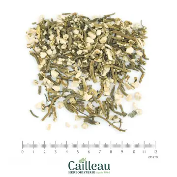 ANGELIQUE BIO racine coupé