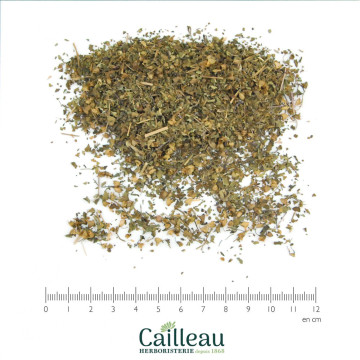 BASIL (HOLY) leaf, ORGANIC cut