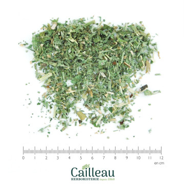 CATNIP aerial part,...