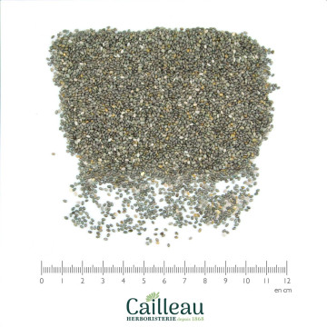 CHIA BIO graine