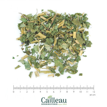 EPILOBE ANGUSTIFOLIUM BIO...