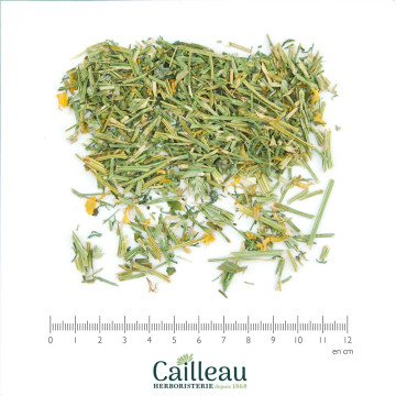 CALIFORNIA POPPY aerial...